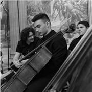 Bonjour à tous, Je propose des cours particuliers de violoncelle, pour tous niveaux, et tout âge, allant de débutant a confirmé